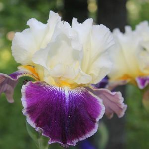 Meet your Posher, Km